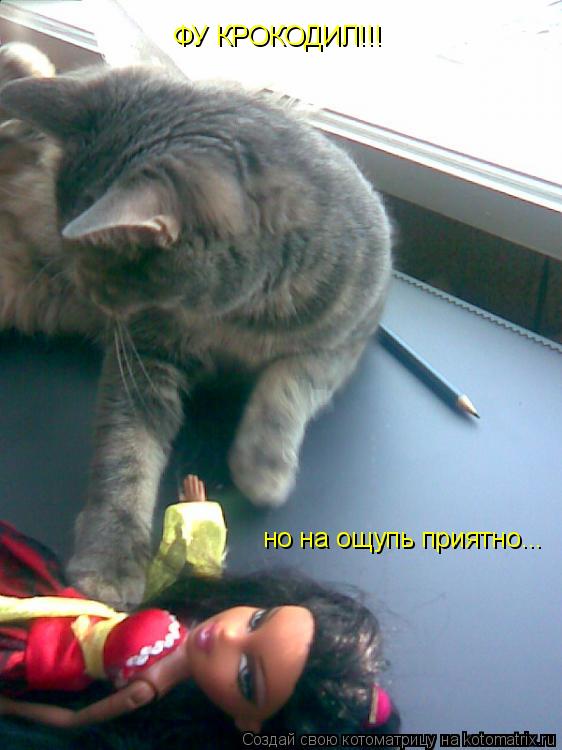 ФУ КРОКОДИЛ!!! но на ощупь приятно...... Котоматрица: ФУ КРОКОДИЛ!!! но на ощупь приятно...