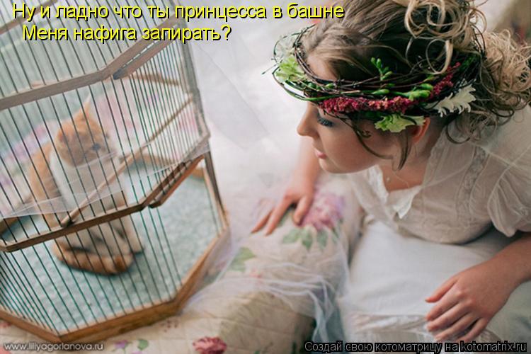 Ну и ладно что ты принцесса в башне Меня нафига запирать?... Котоматрица: Ну и ладно что ты принцесса в башне Меня нафига запирать?