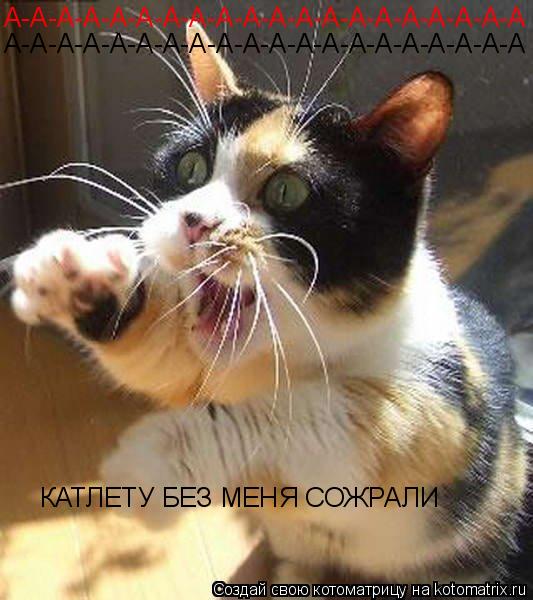 А-А-А-А-А-А-А-А-А-А-А-А-А-А-А-А-А-А-А-А КАТЛЕТУ БЕЗ МЕНЯ СОЖРАЛИ А-А-А-А-А-А-А-А-А-А-А-А-А-А-А-А-А-А-... Котоматрица: А-А-А-А-А-А-А-А-А-А-А-А-А-А-А-А-А-А-А-А КАТЛЕТУ БЕЗ МЕНЯ СОЖРАЛИ А-А-А-А-А-А-А-А-А-А-А-А-А-А-А-А-А-А-А-А