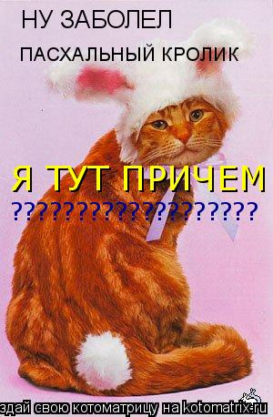 НУ ЗАБОЛЕЛ ПАСХАЛЬНЫЙ КРОЛИК Я ТУТ ПРИЧЕМ ???????????????????... Котоматрица: НУ ЗАБОЛЕЛ ПАСХАЛЬНЫЙ КРОЛИК Я ТУТ ПРИЧЕМ ???????????????????