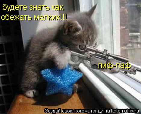 пиф-паф будете знать как обежать мелких!!!... Котоматрица: пиф-паф будете знать как обежать мелких!!!