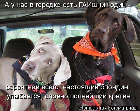 А у нас в городке есть ГАИшник один - вероятней всего, настоящий блондин: улыбается, словно полнейши... Котоматрица: А у нас в городке есть ГАИшник один - вероятней всего, настоящий блондин: улыбается, словно полнейший кретин...