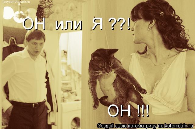 ОН или Я ??! ОН !!!... Котоматрица: ОН или Я ??! ОН !!!
