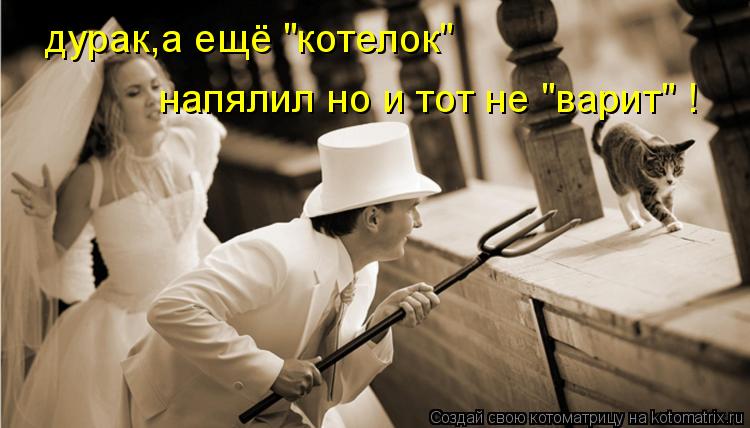 дурак,а ещё "котелок" напялил но и тот не "варит" !... Котоматрица: дурак,а ещё "котелок" напялил но и тот не "варит" !