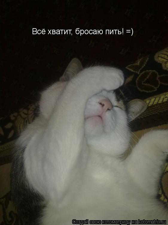 Всё хватит, бросаю пить! =)... Котоматрица: Всё хватит, бросаю пить! =)