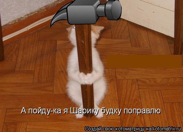 А пойду-ка я Шарику будку поправлю... Котоматрица: А пойду-ка я Шарику будку поправлю