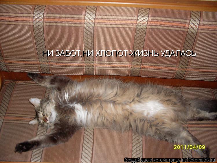 НИ ЗАБОТ,НИ ХЛОПОТ-ЖИЗНЬ УДАЛАСЬ... Котоматрица: НИ ЗАБОТ,НИ ХЛОПОТ-ЖИЗНЬ УДАЛАСЬ