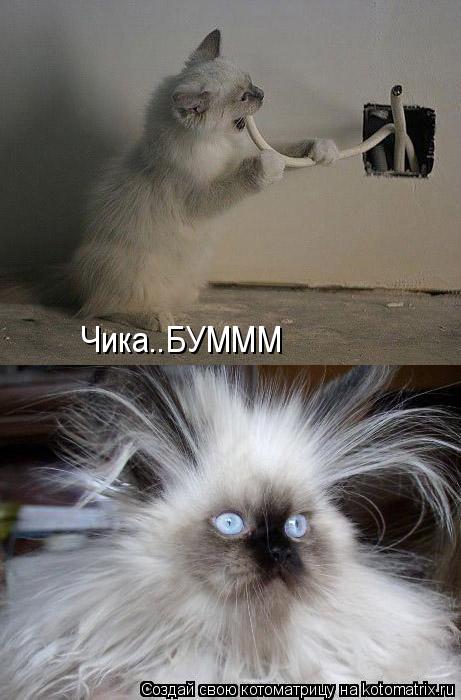 Чика..БУМММ... Котоматрица: Чика..БУМММ