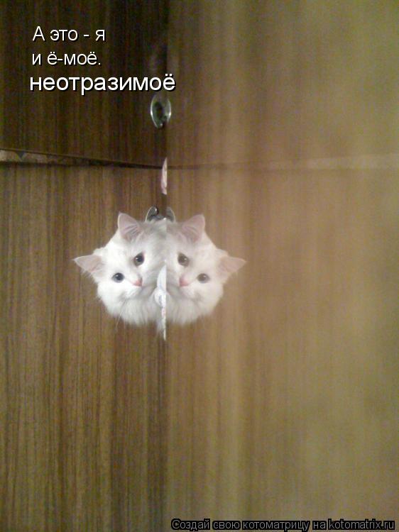 Котоматрица: А это - я и ё-моё. неотразимоё