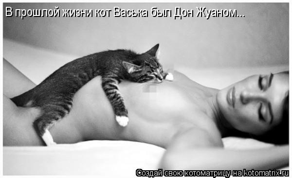 Котоматрица: В прошлой жизни кот Васька был Дон Жуаном...