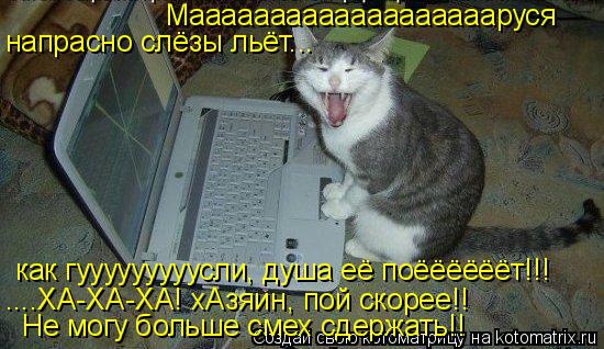 Котоматрица: Маааааааааааааааааааруся напрасно слёзы льёт... как гууууууууусли, душа её поёёёёёёт!!! ....ХА-ХА-ХА! хАзяин, пой скорее!!  Не могу больше смех с