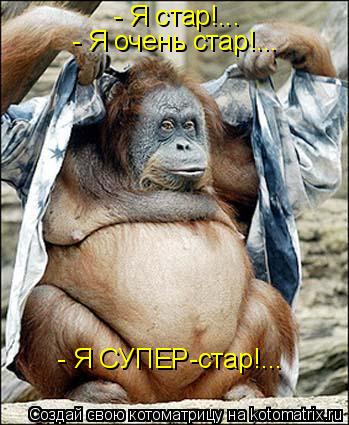 - Я стар!... - Я очень стар!... - Я СУПЕР-стар!...... Котоматрица: - Я стар!... - Я очень стар!... - Я СУПЕР-стар!...