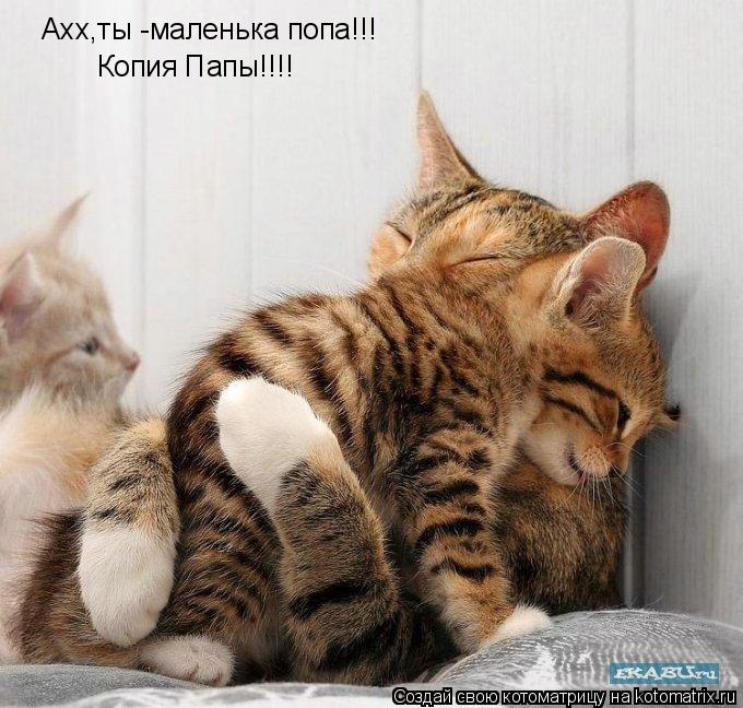 Ахх,ты -маленька попа!!! Копия Папы!!!!... Котоматрица: Ахх,ты -маленька попа!!! Копия Папы!!!!