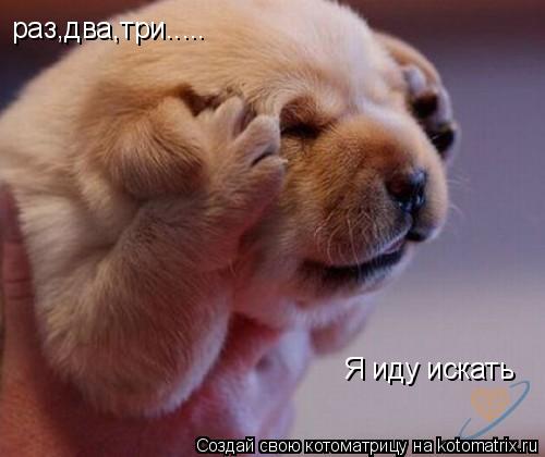 раз,два,три..... Я иду искать... Котоматрица: раз,два,три..... Я иду искать