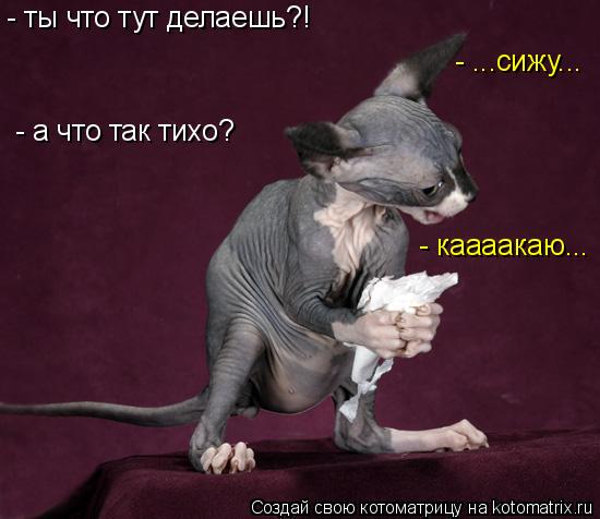 - ты что тут делаешь?! - ...сижу... - а что так тихо? - каааакаю...... Котоматрица: - ты что тут делаешь?! - ...сижу... - а что так тихо? - каааакаю...