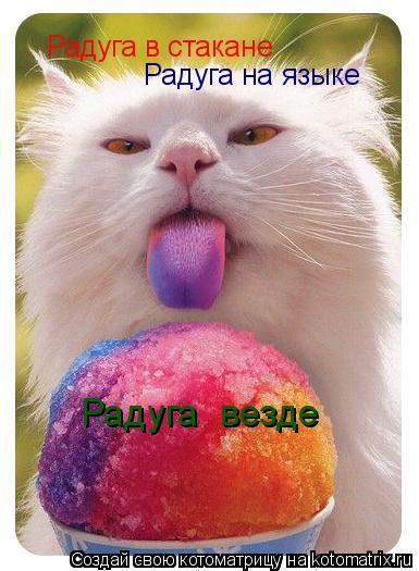 Радуга в стакане Радуга на языке Радуга везде... Котоматрица: Радуга в стакане Радуга на языке Радуга везде