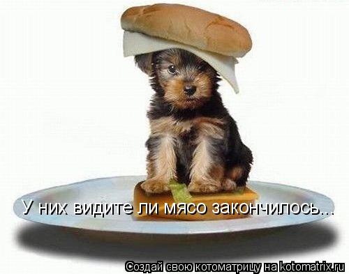 У них видите ли мясо закончилось...... Котоматрица: У них видите ли мясо закончилось...