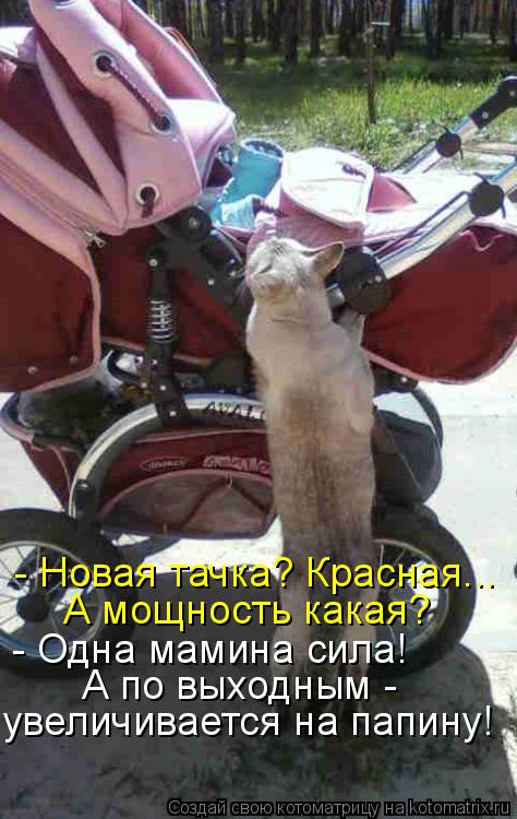 Котоматрица: - Новая тачка? Красная... А мощность какая? - Одна мамина сила! А по выходным -  увеличивается на папину!