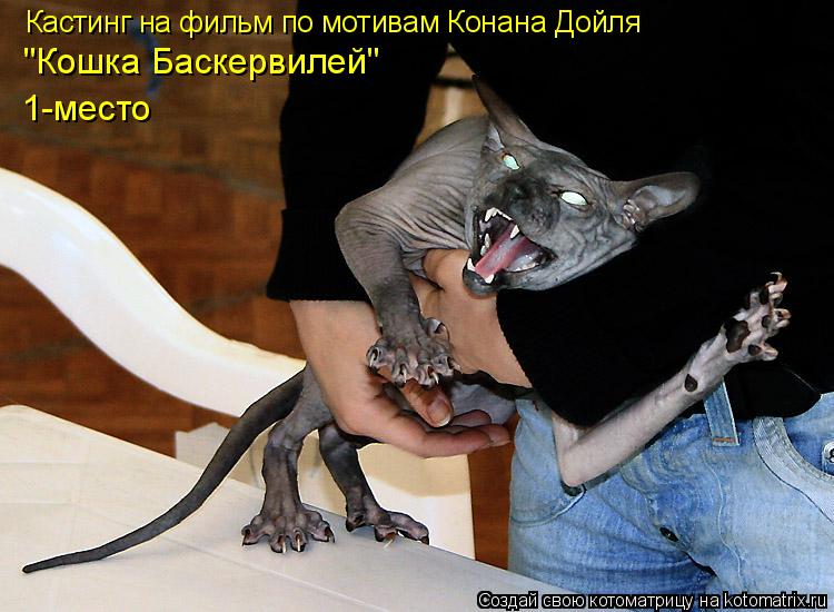 Кастинг на фильм по мотивам Конана Дойля "Кошка Баскервилей" 1-место... Котоматрица: Кастинг на фильм по мотивам Конана Дойля "Кошка Баскервилей" 1-место