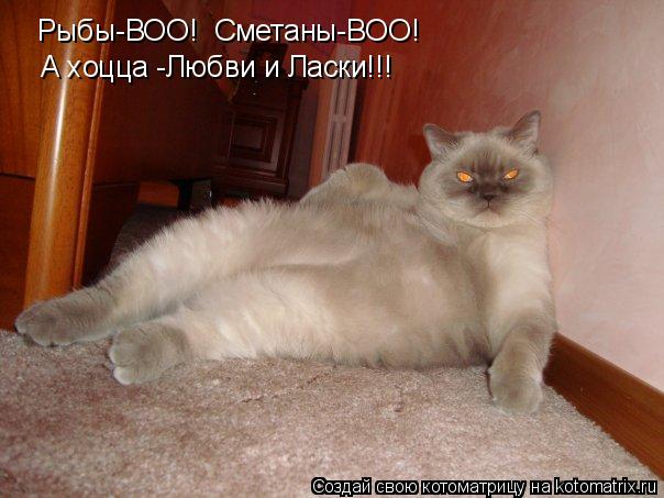 Рыбы-ВОО! Сметаны-ВОО! А хоцца -Любви и Ласки!!!... Котоматрица: Рыбы-ВОО! Сметаны-ВОО! А хоцца -Любви и Ласки!!!