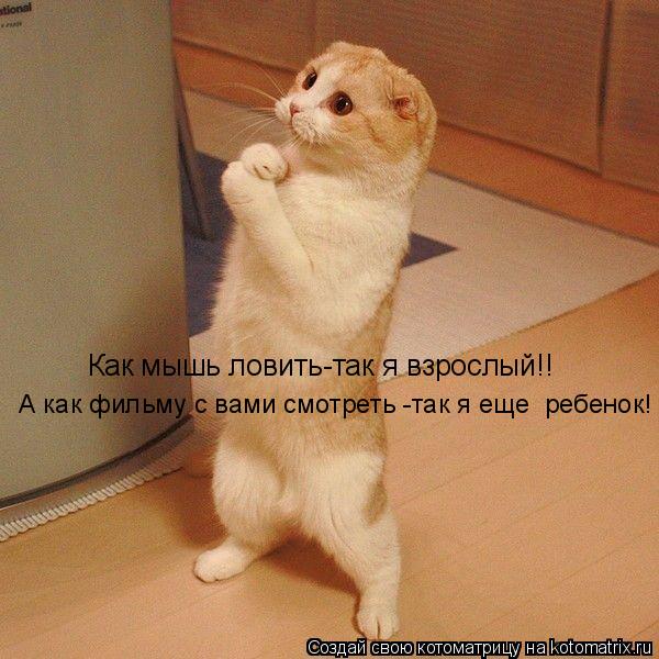 Котоматрица: Как мышь ловить-так я взрослый!! А как фильму с вами смотреть -так я еще  ребенок!