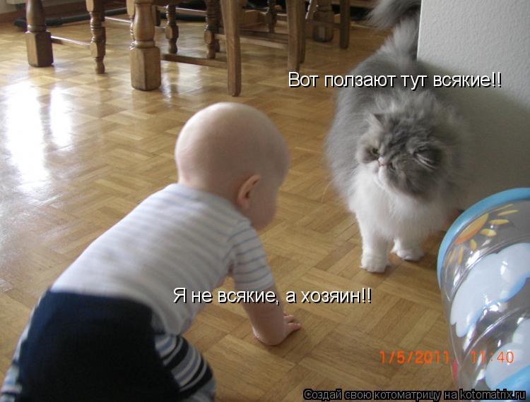 Вот ползают тут всякие!! Я не всякие, а хозяин!!... Котоматрица: Вот ползают тут всякие!! Я не всякие, а хозяин!!