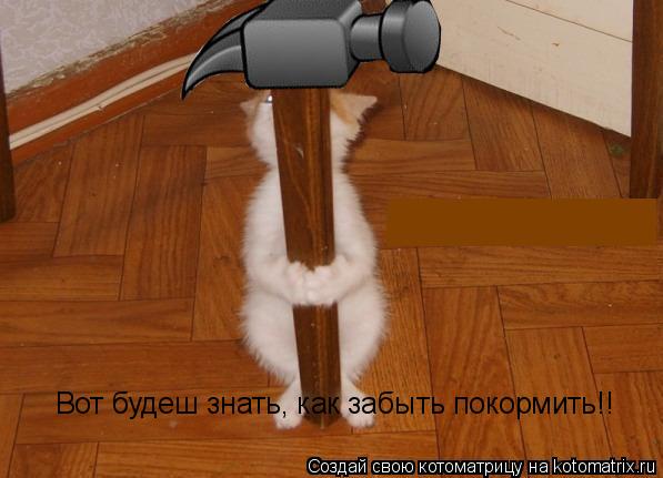 Вот будеш знать, как забыть покормить!!... Котоматрица: Вот будеш знать, как забыть покормить!!