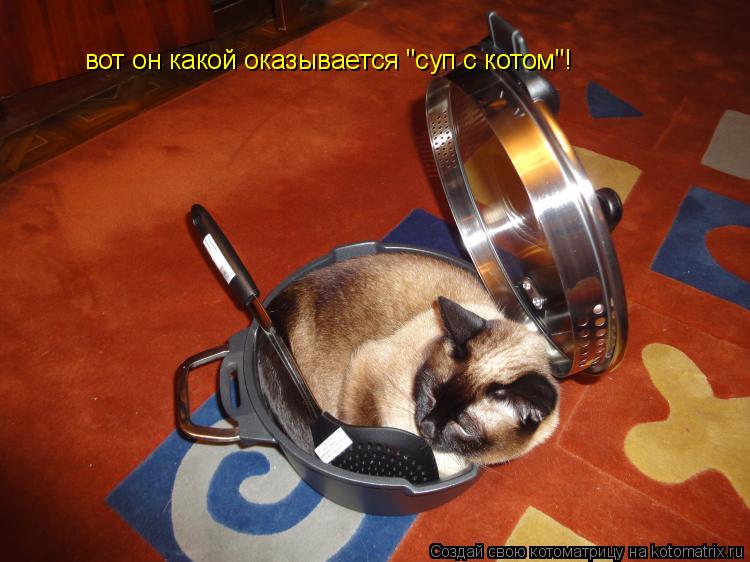 вот он какой оказывается "суп с котом"!... Котоматрица: вот он какой оказывается "суп с котом"!