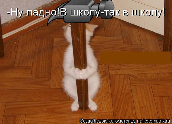 -Ну ладно!В школу-так в школу!... Котоматрица: -Ну ладно!В школу-так в школу!