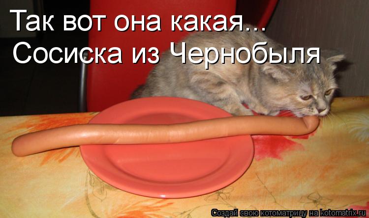 Так вот она какая... Сосиска из Чернобыля... Котоматрица: Так вот она какая... Сосиска из Чернобыля