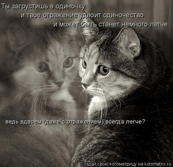 Ты загрустишь в одиночку и твое отражение удвоит одиночество и может быть станет немного легче ведь в... Котоматрица: Ты загрустишь в одиночку и твое отражение удвоит одиночество и может быть станет немного легче ведь вдвоем (даже с отражением) всегда легче