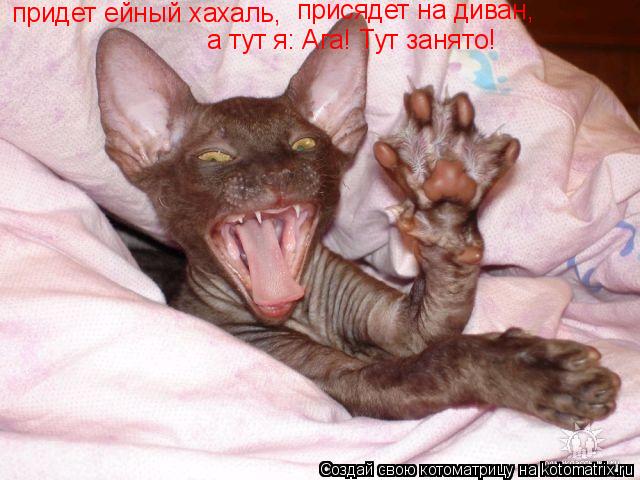 придет ейный хахаль, присядет на диван, а тут я: Ага! Тут занято!... Котоматрица: придет ейный хахаль, присядет на диван, а тут я: Ага! Тут занято!