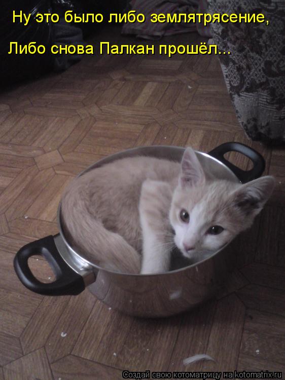 Ну это было либо землятрясение, Либо снова Палкан прошёл...... Котоматрица: Ну это было либо землятрясение, Либо снова Палкан прошёл...
