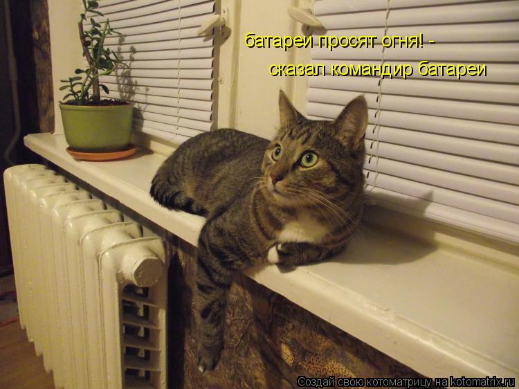 батареи просят огня! - сказал командир батареи... Котоматрица: батареи просят огня! - сказал командир батареи