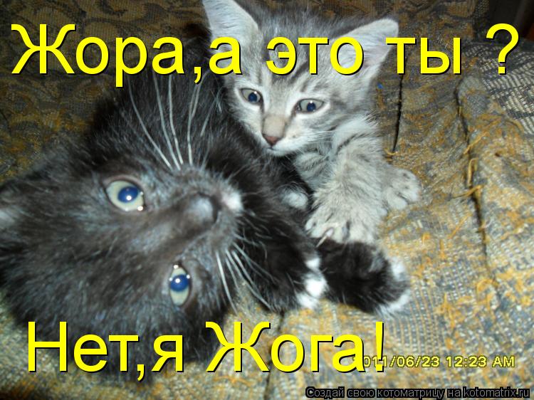 Жора,а это ты ? Нет,я Жога!... Котоматрица: Жора,а это ты ? Нет,я Жога!