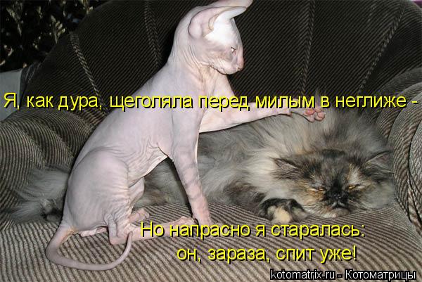 http://kotomatrix.ru/images/lolz/2011/06/28/940267.jpg