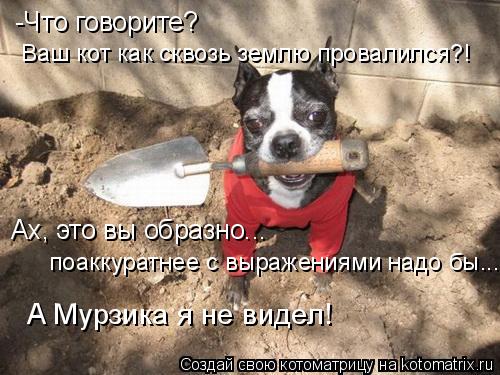 -Что говорите? Ах, это вы образно... поаккуратнее с выражениями надо бы... Ваш кот как сквозь землю ... Котоматрица: -Что говорите? Ах, это вы образно... поаккуратнее с выражениями надо бы... Ваш кот как сквозь землю провалился?! А Мурзика я не видел!