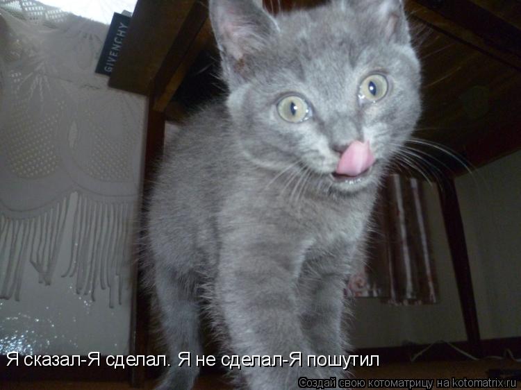 Я сказал-Я сделал. Я не сделал-Я пошутил... Котоматрица: Я сказал-Я сделал. Я не сделал-Я пошутил