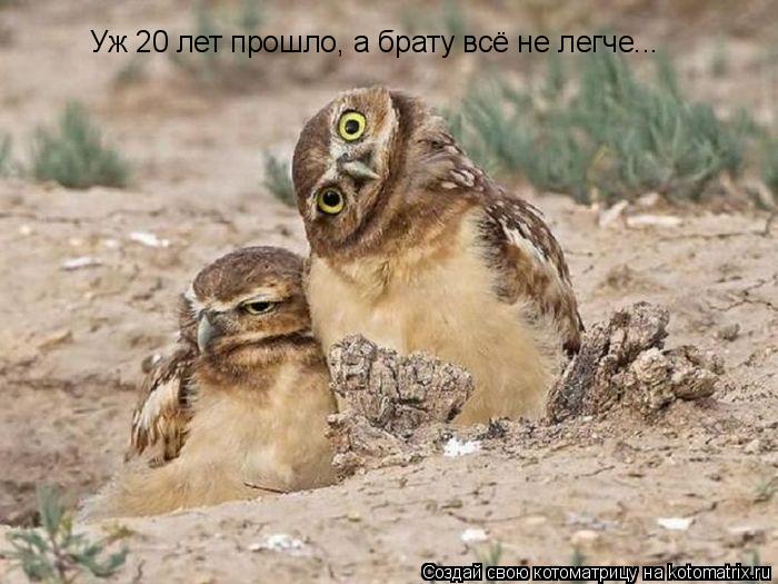 Уж 20 лет прошло, а брату всё не легче...... Котоматрица: Уж 20 лет прошло, а брату всё не легче...