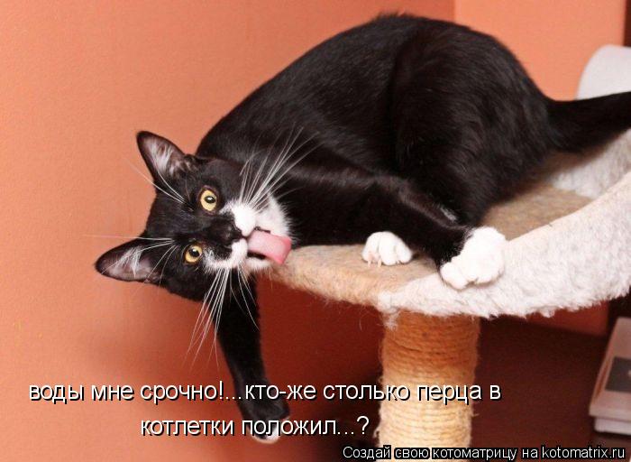 воды мне срочно!...кто-же столько перца в котлетки положил...?... Котоматрица: воды мне срочно!...кто-же столько перца в котлетки положил...?