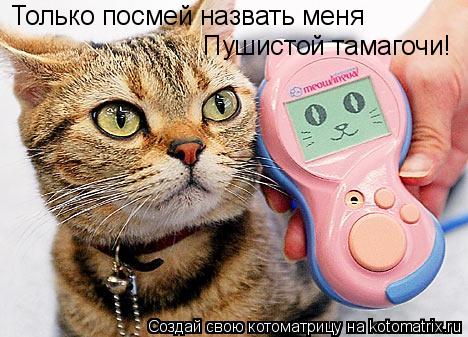 Только посмей назвать меня Пушистой тамагочи!... Котоматрица: Только посмей назвать меня Пушистой тамагочи!