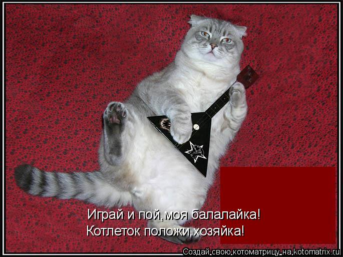 Играй и пой,моя балалайка! Котлеток положи,хозяйка!... Котоматрица: Играй и пой,моя балалайка! Котлеток положи,хозяйка!