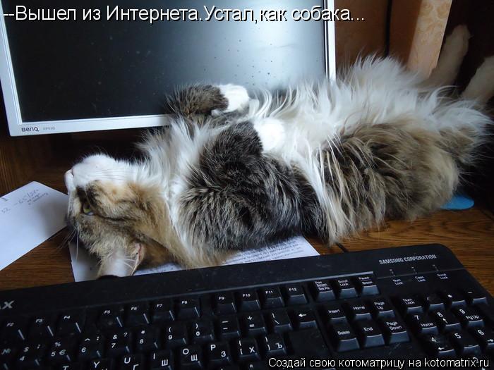 --Вышел из Интернета.Устал,как собака...... Котоматрица: --Вышел из Интернета.Устал,как собака...