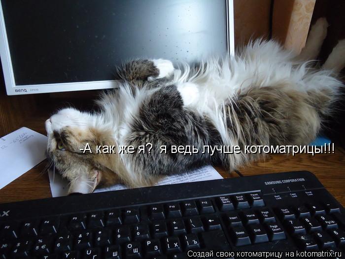 -А как же я? я ведь лучше котоматрицы!!!... Котоматрица: -А как же я? я ведь лучше котоматрицы!!!
