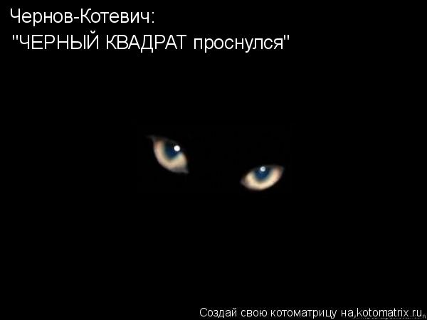 Чернов-Котевич: "ЧЕРНЫЙ КВАДРАТ проснулся"... Котоматрица: Чернов-Котевич: "ЧЕРНЫЙ КВАДРАТ проснулся"