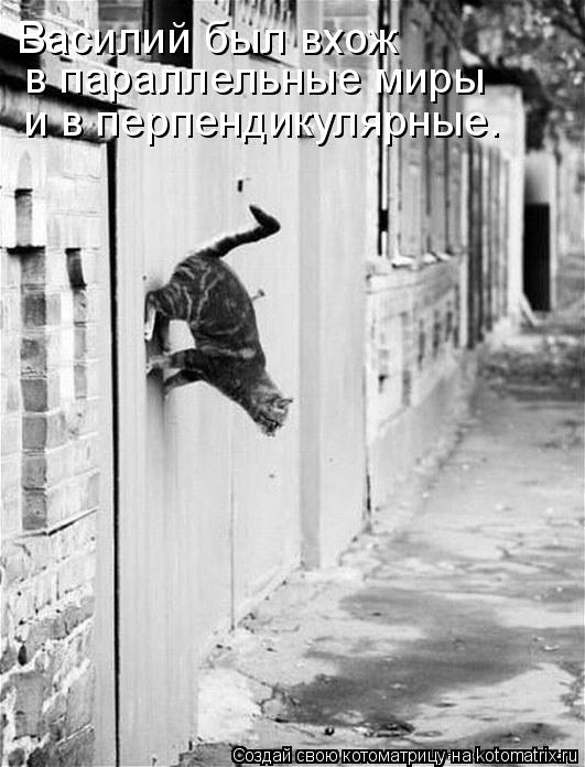 Котоматрица: Василий был вхож  в параллельные миры  и в перпендикулярные.