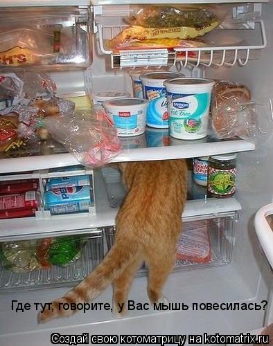 Где тут, говорите, у Вас мышь повесилась?... Котоматрица: Где тут, говорите, у Вас мышь повесилась?