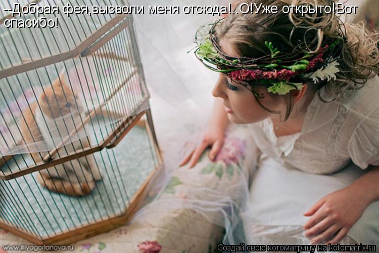 --Добрая фея,вызволи меня отсюда!..О!Уже открыто!Вот спасибо!... Котоматрица: --Добрая фея,вызволи меня отсюда!..О!Уже открыто!Вот спасибо!