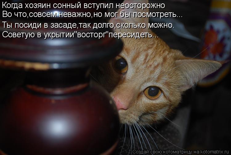 Котоматрица: Когда хозяин сонный вступил неосторожно Ты посиди в засаде,так долго,сколько можно. Во что,совсем неважно,но мог бы посмотреть... Советую в у
