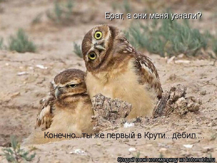 Брат, а они меня узнали? Конечно...ты же первый в Крути...дебил....... Котоматрица: Брат, а они меня узнали? Конечно...ты же первый в Крути...дебил....